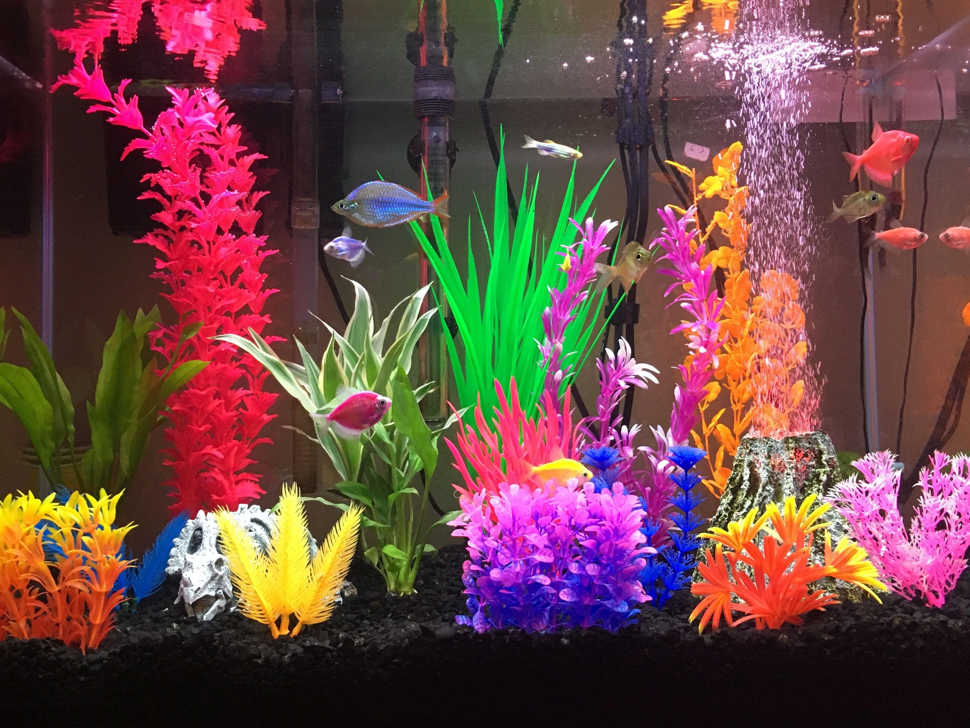 Aquarium accessories