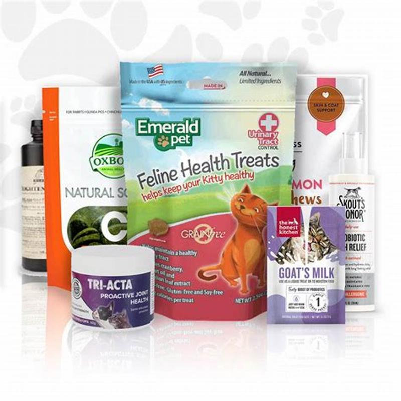 The Role of Supplements in Pet Health: What You Need to Know